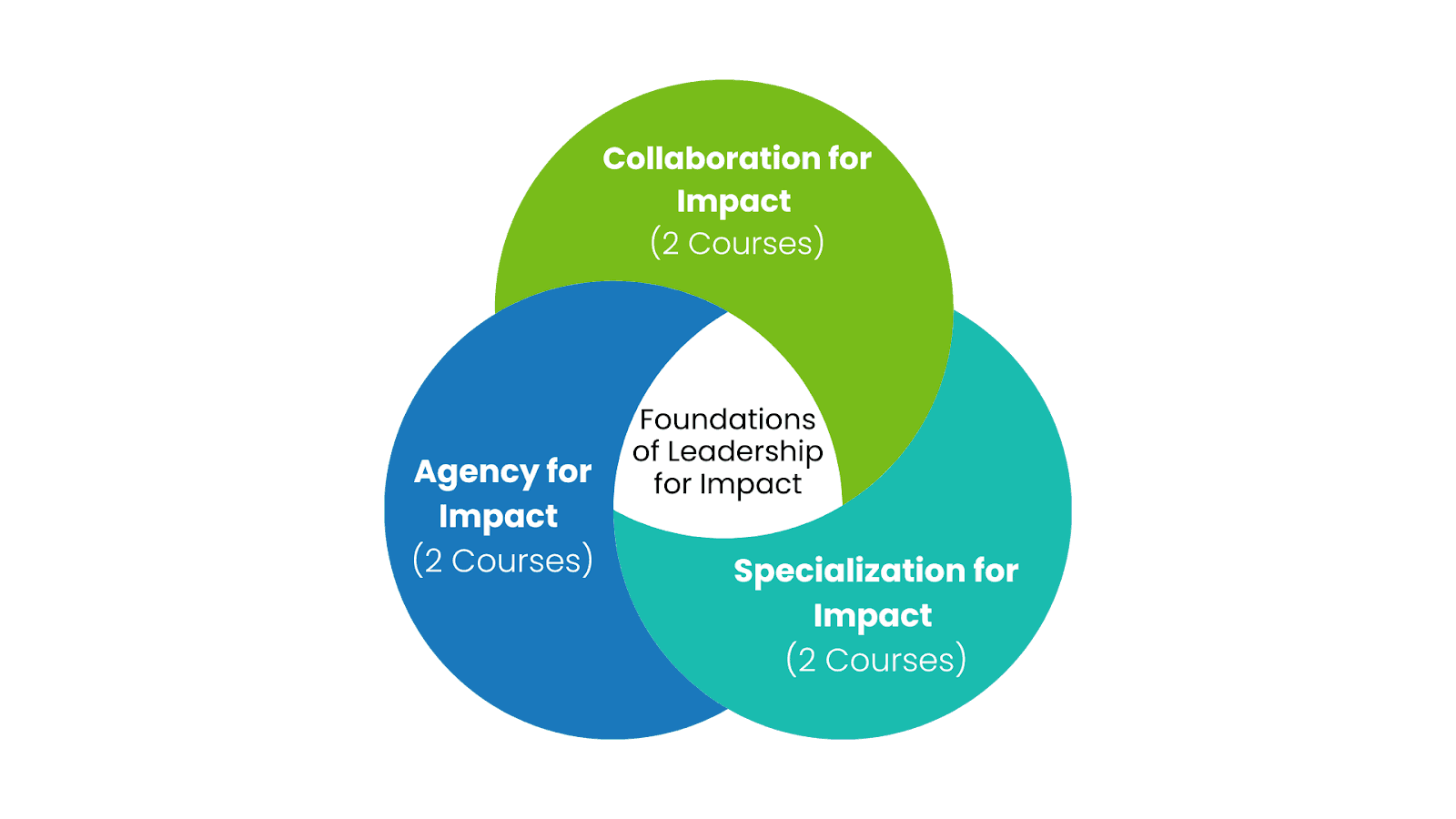 Partner 3